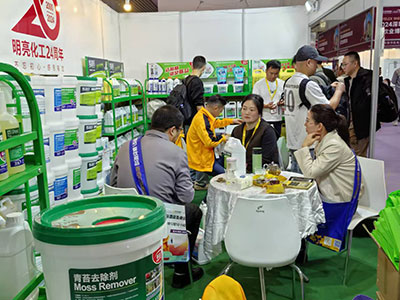 展会现场